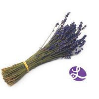 Culinary Lavender Bundles - 14" - 18" Long