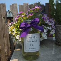 Lavender Essential Oil – 1/2 Gallon, Locally Sourced in WA