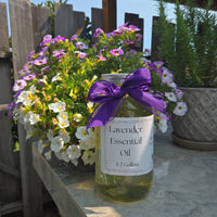 Lavender Essential Oil – 1/2 Gallon, Locally Sourced in WA