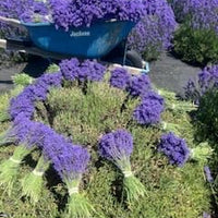 Natural Dried Lavender Wreath - 13" Diameter