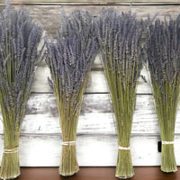Lavender Dried Bundles