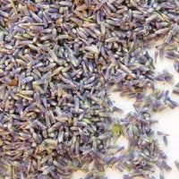 Culinary Lavender - Always from the latest harvest! - Findlavender