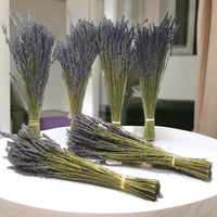 Lavender Dried Bundles