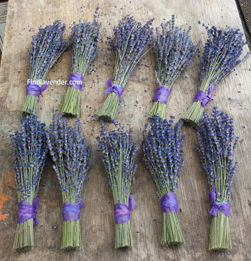 Lavender Royal Velvet Bundles (Culinary) - 10 Bundle Pack