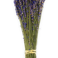 Royal Velvet Lavender Bundles - 14" - 18" Long