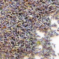 Culinary Lavender - Always from the latest harvest! - Findlavender