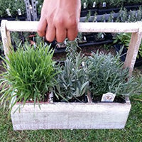 Gift Baskets - Perfect for any occasion - Findlavender