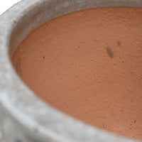 Paragon Ceramic Planter Pot with Drainage Saucer for Lavender