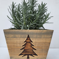 Tin Rose Vase With Lavender Plant, Perfect Gift For Mom!