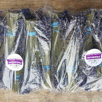 Lavender Small Dried Bundles 8" to 10" - Pack of 10