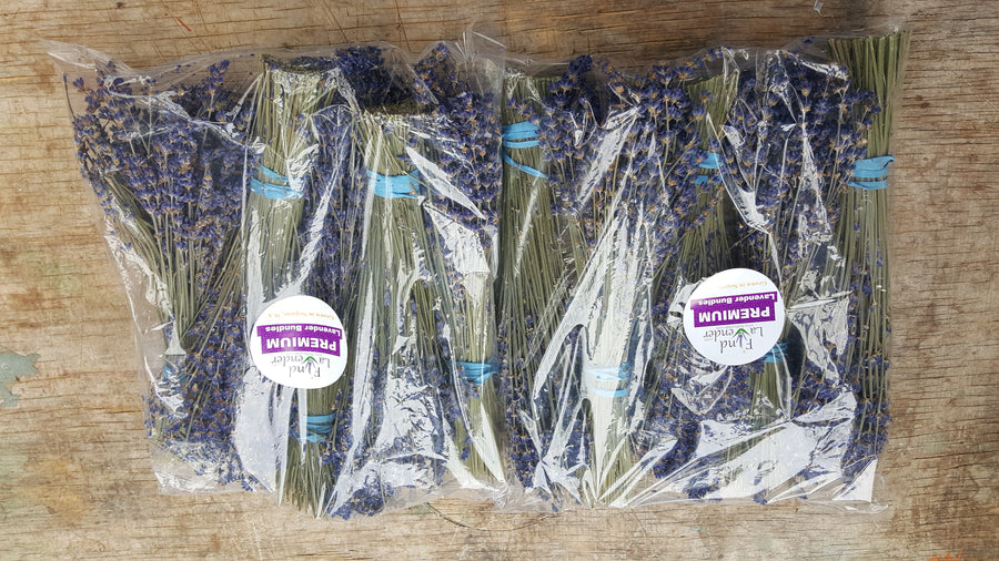 Lavender Small Dried Bundles 8" to 10" - Pack of 10