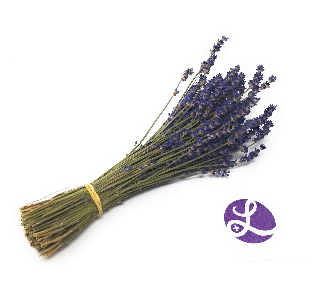 Culinary Lavender Bundles - 14" - 18" Long