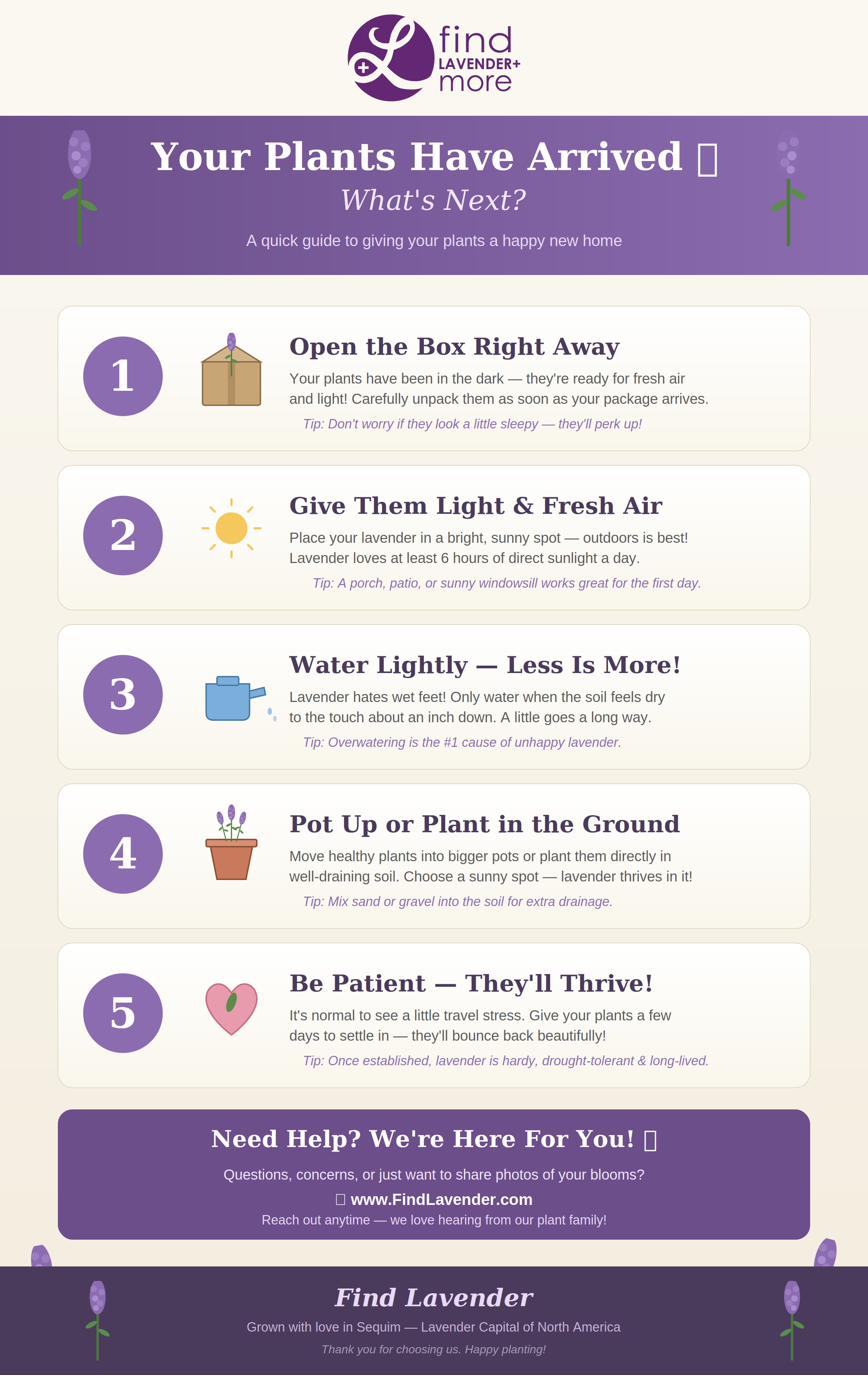 Find Lavender Plant Care Guide — How to care for your new plants