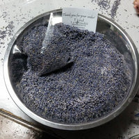 Culinary Lavender - Always from the latest harvest! - Findlavender