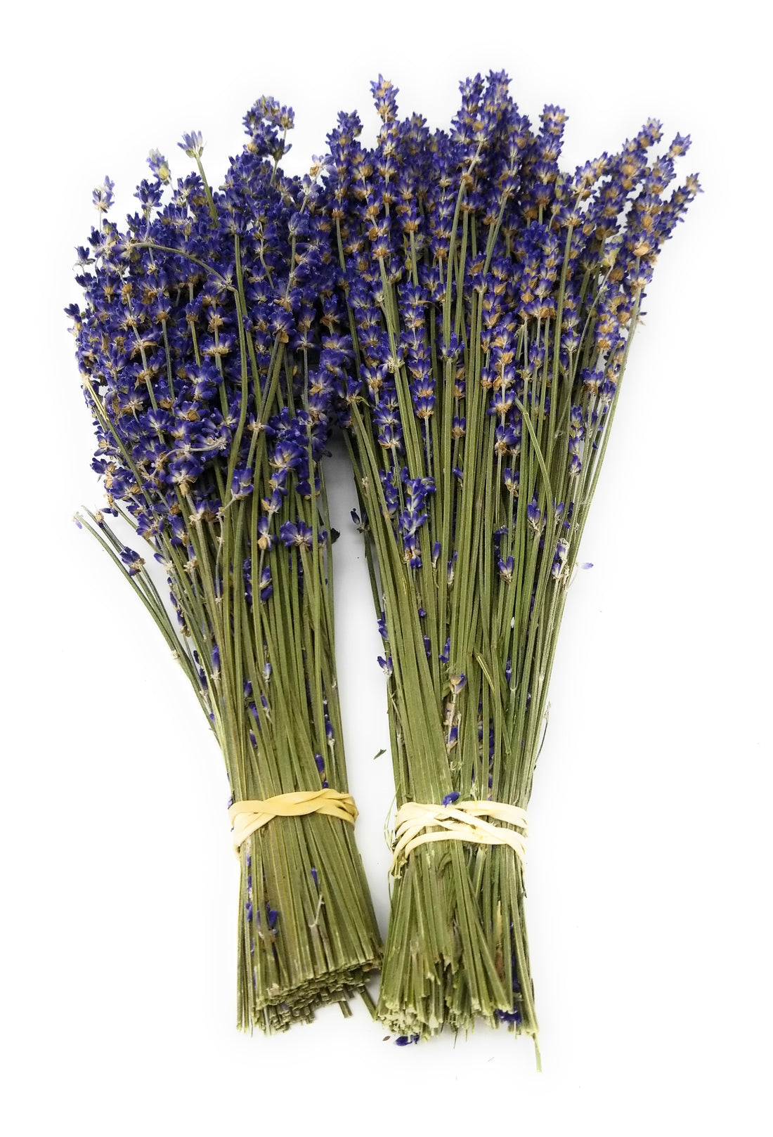 Dried Lavender Bundles Royal Velvet 14 18 In FindLavender dried-lavender-bundles-royal-velvet-14-18-in-findlavender