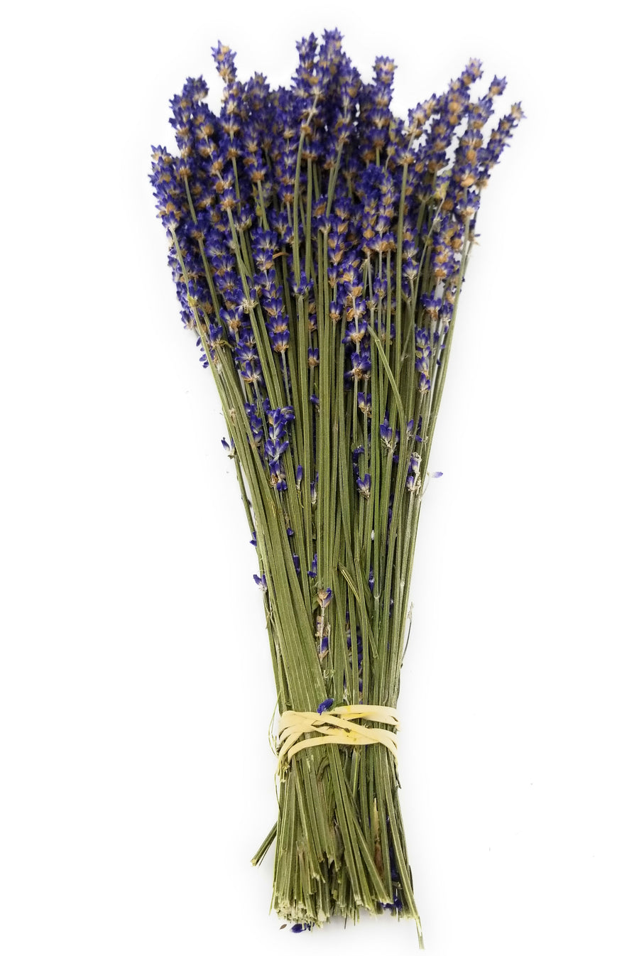 Royal Velvet Lavender Bundles - 14" - 18" Long