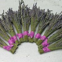 Lavender Small Dried Bundles 8" to 10" - Pack of 10 - Findlavender