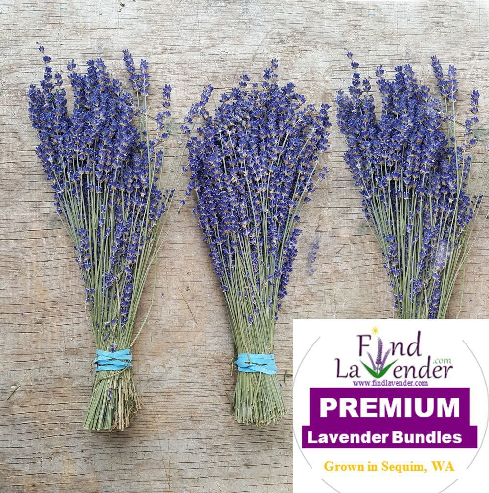 Culinary Lavender Bundles - 14" - 18" Long - Findlavender