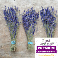 Culinary Lavender Bundles - 14" - 18" Long - Findlavender